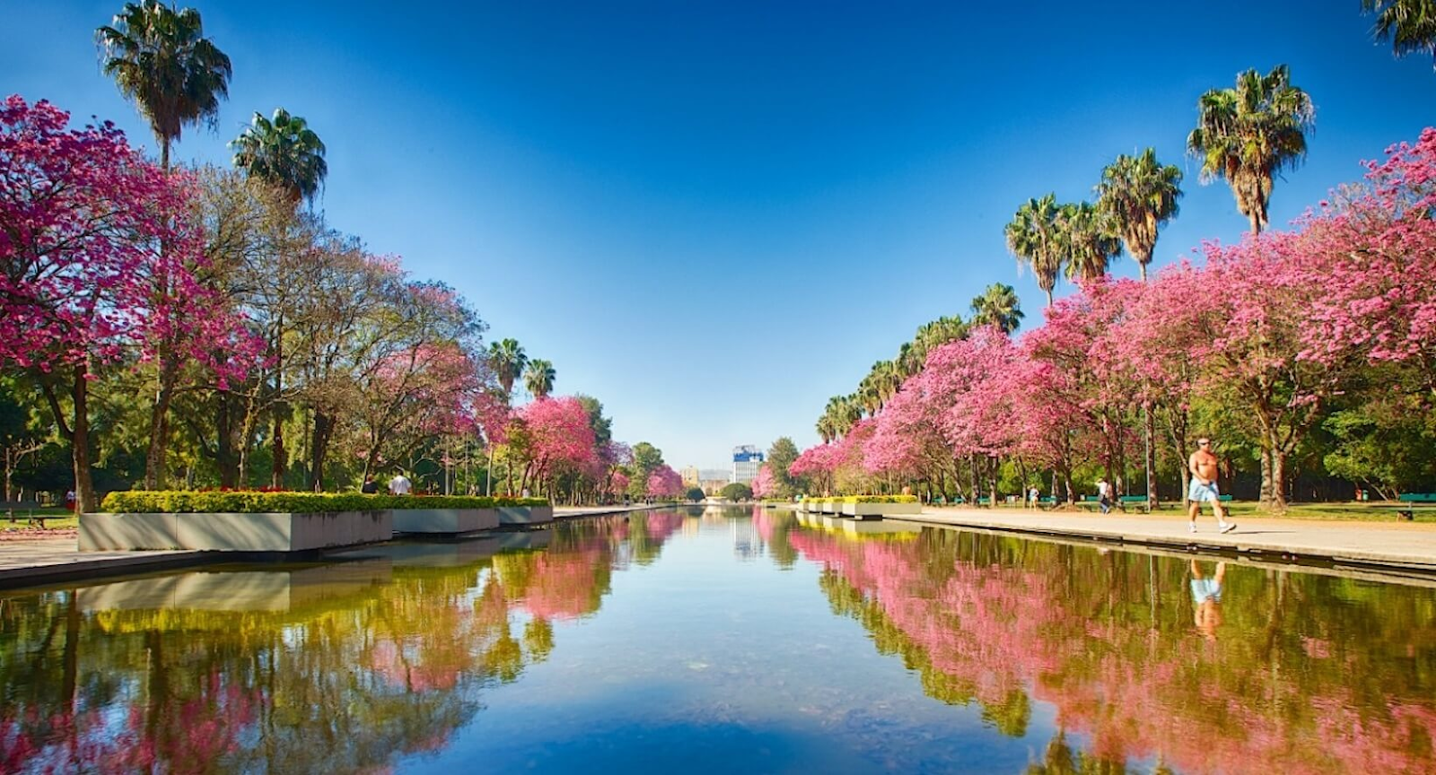 Grupos Telegram Porto Alegre