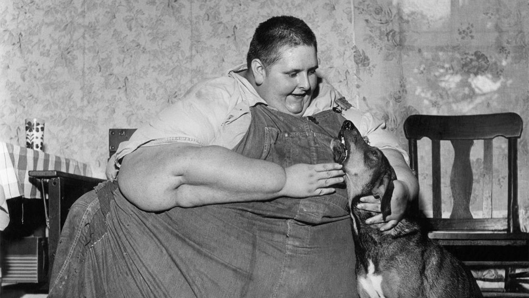 Grupos Telegram Para Maiores